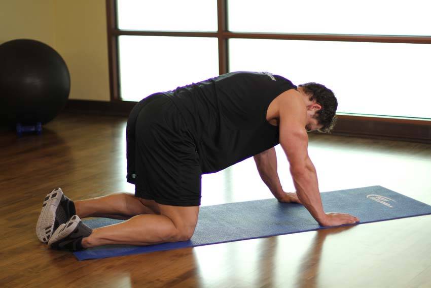 All Fours Quad Stretch - starting position