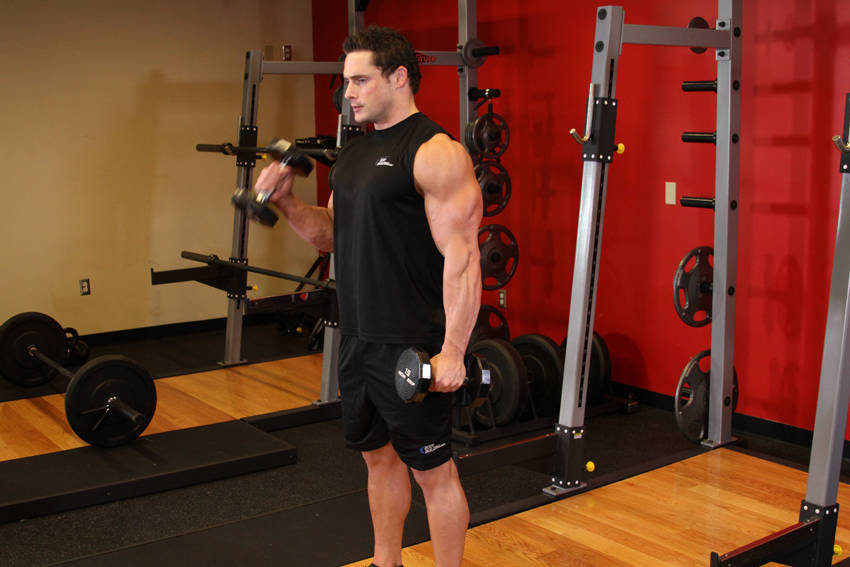 Alternate Hammer Curl - starting position