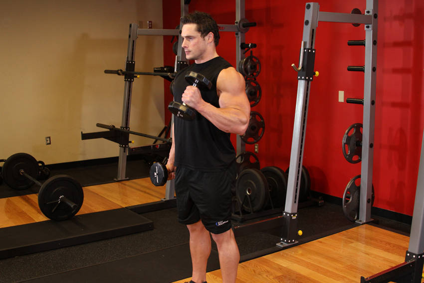 Alternate Hammer Curl - ending position