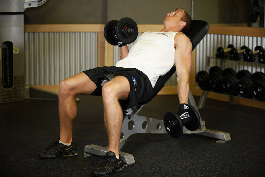 Alternate Incline Dumbbell Curl - ending position
