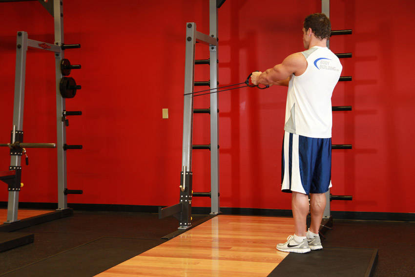 Back Flyes - With Bands - starting position