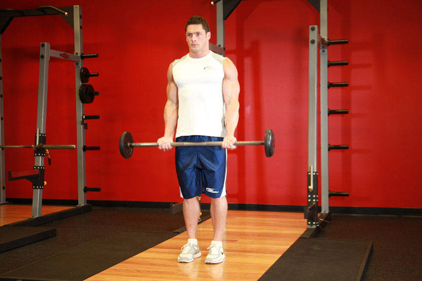 Barbell Curl - starting position
