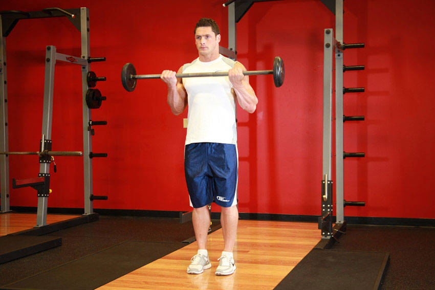 Barbell Curl - ending position