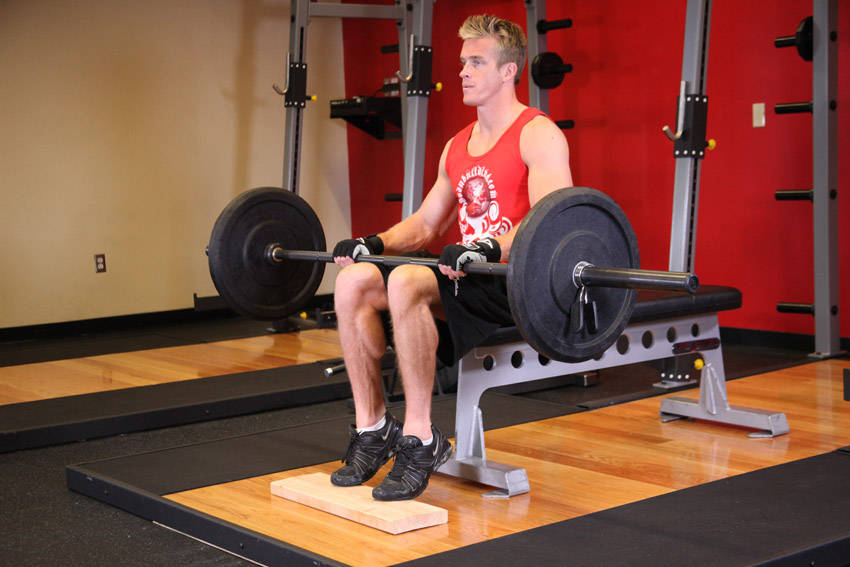 Barbell Seated Calf Raise - ending position