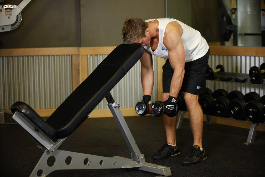 Bent Over Dumbbell Rear Delt Raise With Head On Bench - starting position