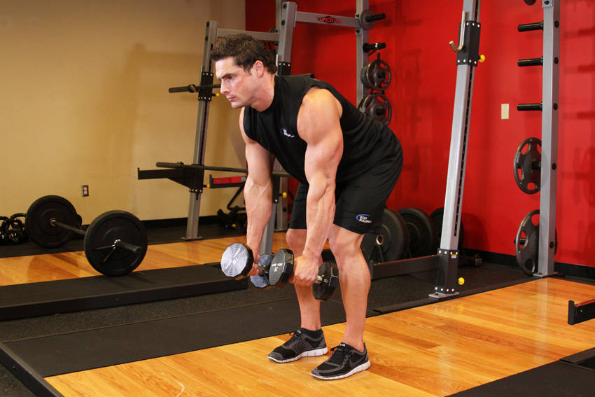 Bent Over Two-Dumbbell Row - starting position