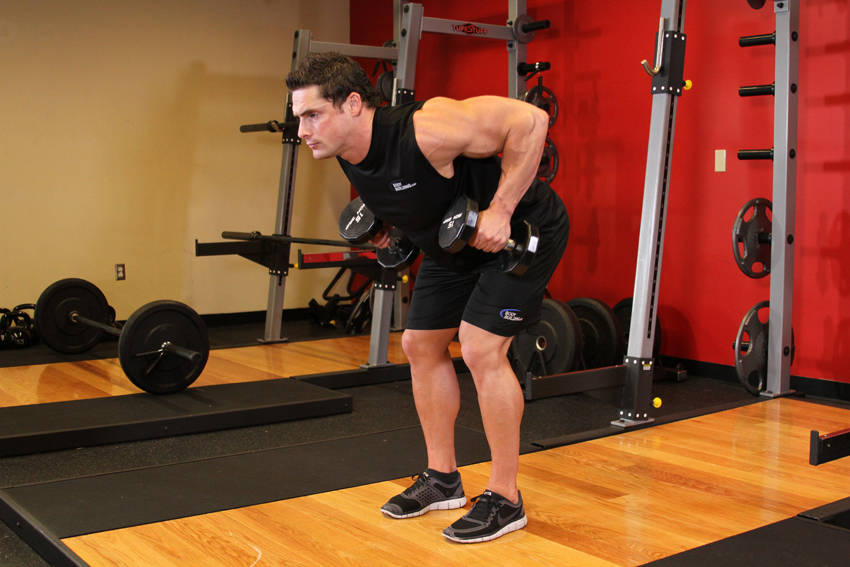 Bent Over Two-Dumbbell Row - ending position