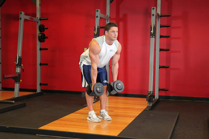 Bent Over Two-Dumbbell Row With Palms In - starting position