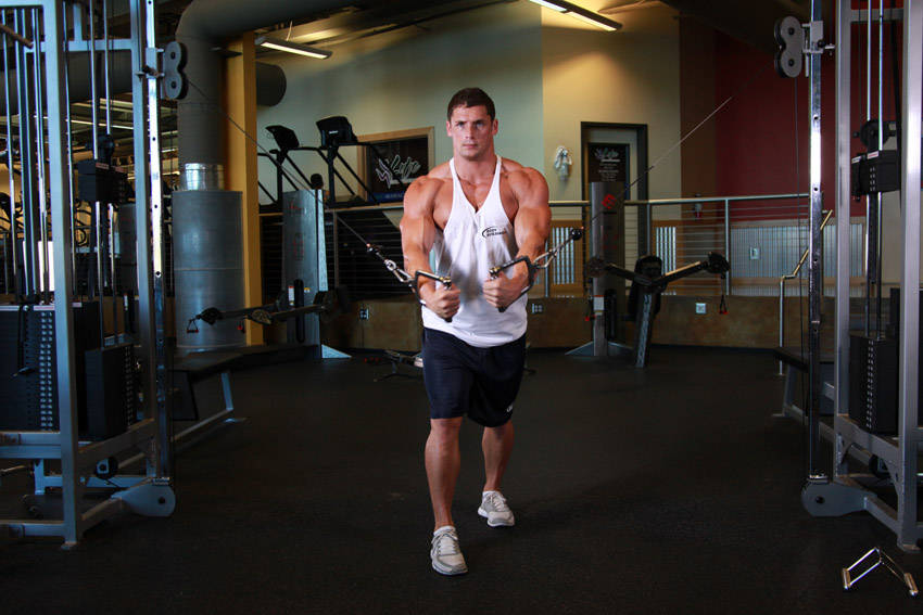 Cable Crossover - ending position