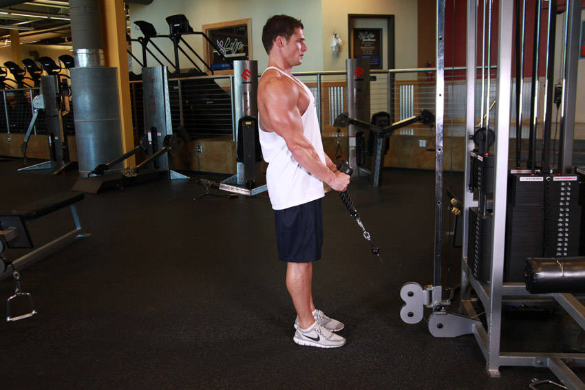 Cable Hammer Curls - Rope Attachment - starting position