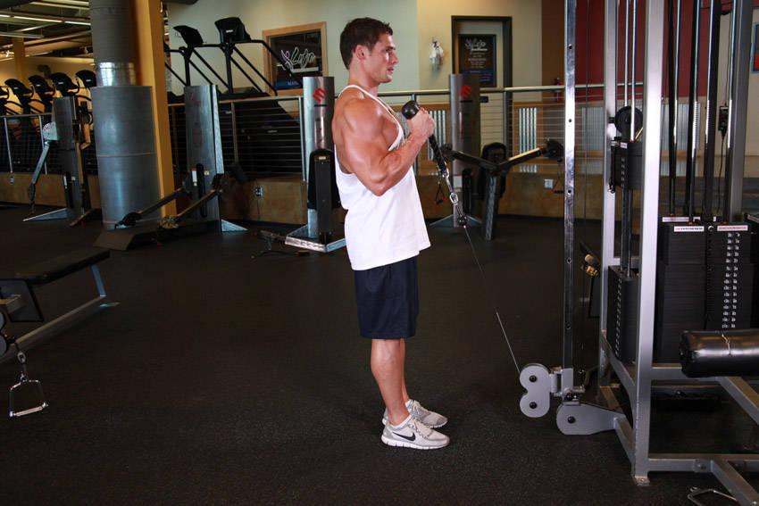 Cable Hammer Curls - Rope Attachment - ending position