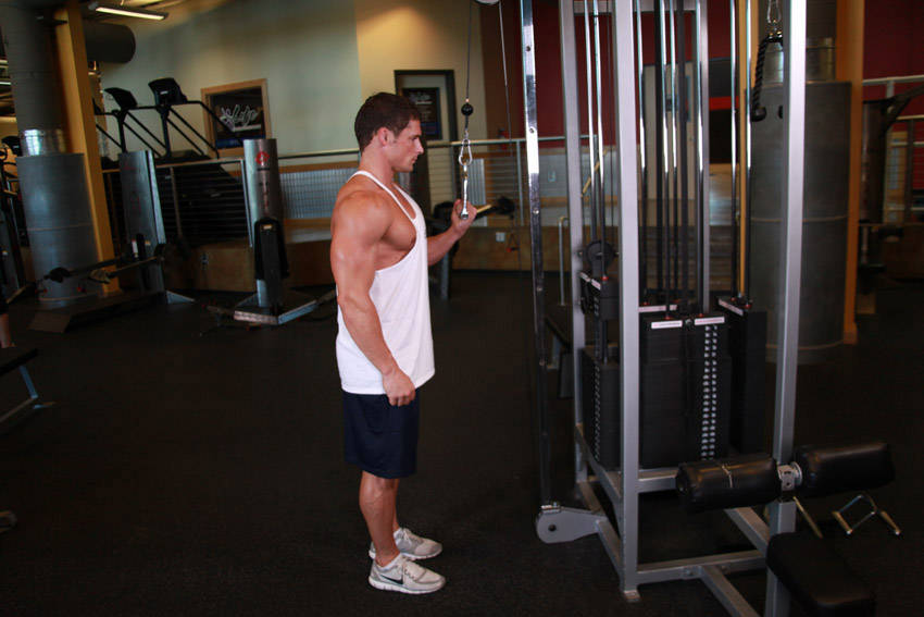Cable One Arm Tricep Extension - ending position