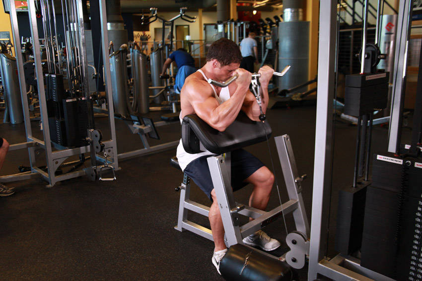 Cable Preacher Curl - ending position
