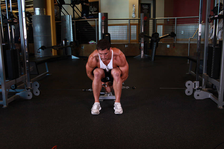 Cable Seated Lateral Raise - starting position