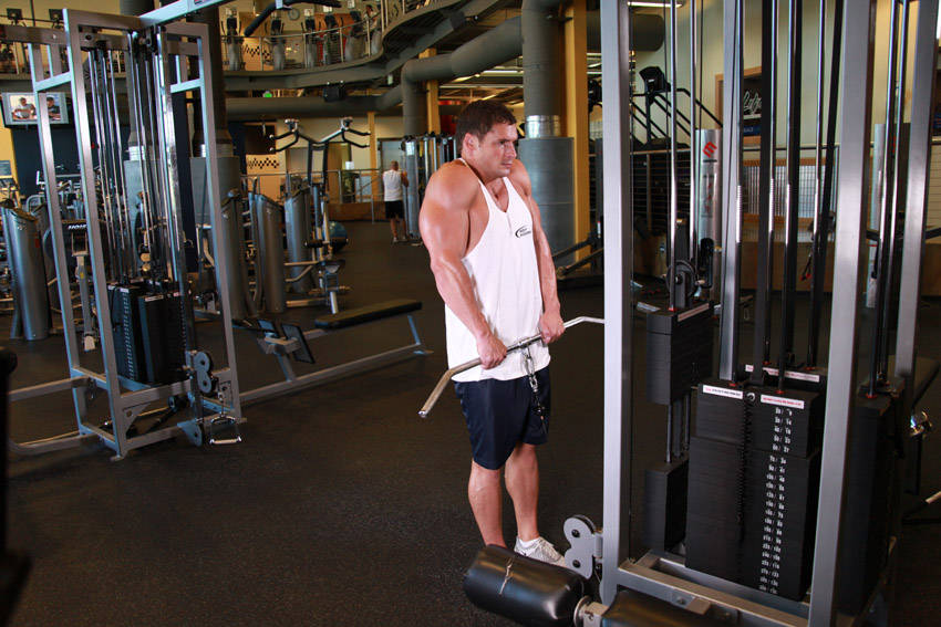 Cable Shrugs - ending position