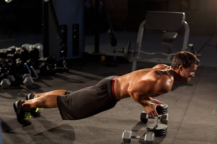 Close-Grip Push-Up off of a Dumbbell - ending position