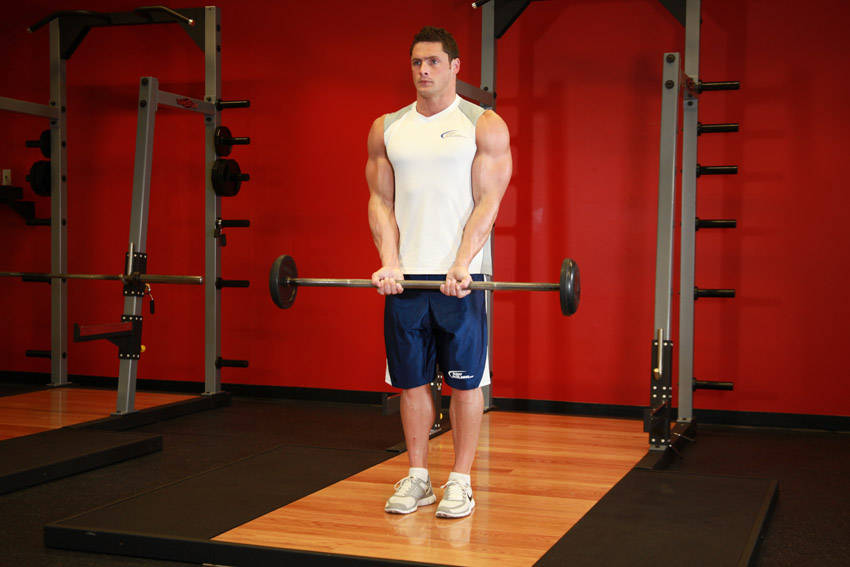 Close-Grip Standing Barbell Curl - starting position