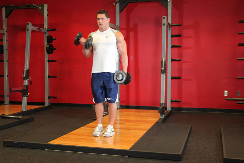 Dumbbell Alternate Bicep Curl - starting position