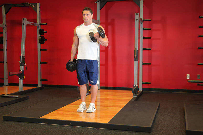 Dumbbell Alternate Bicep Curl - ending position
