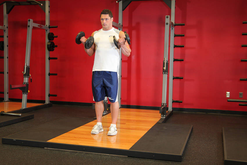 Dumbbell Bicep Curl - ending position