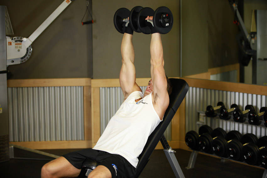 Dumbbell Incline Shoulder Raise - ending position