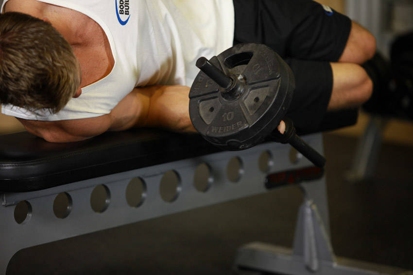 Dumbbell Lying Pronation - ending position