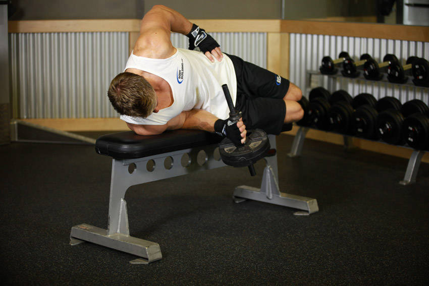 Dumbbell Lying Supination - ending position