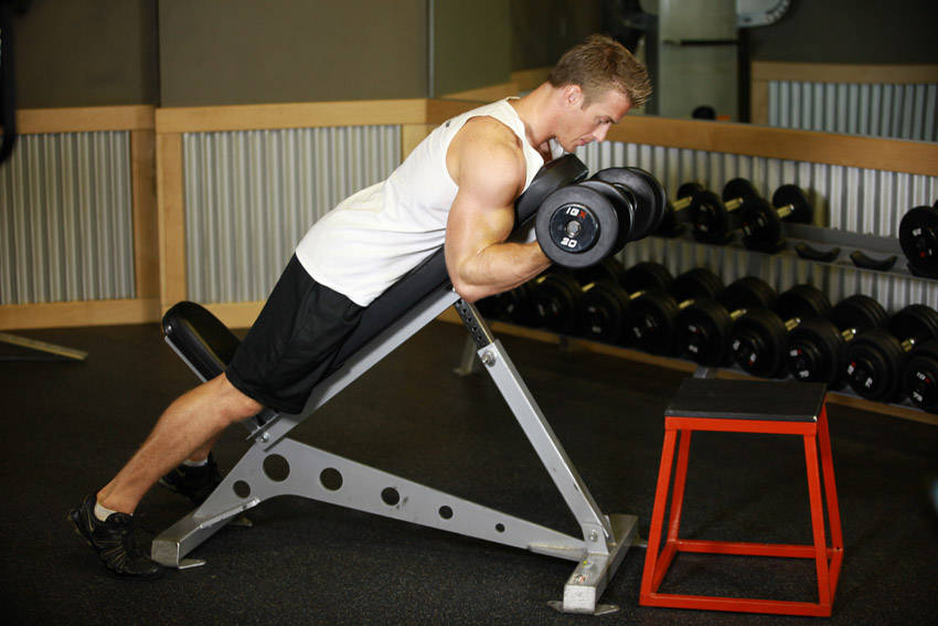 Dumbbell Prone Incline Curl - starting position