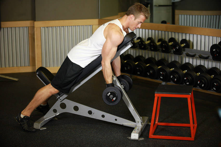 Dumbbell Prone Incline Curl - ending position
