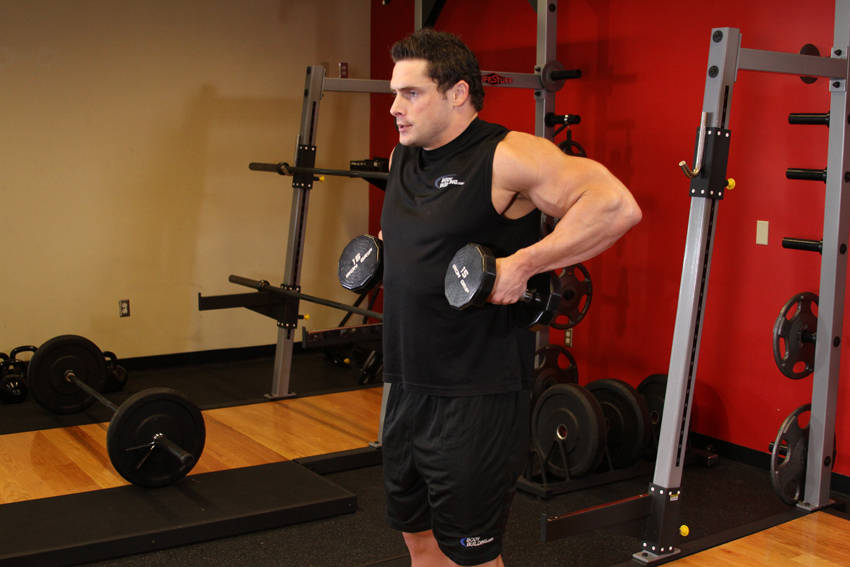 Dumbbell Raise - ending position