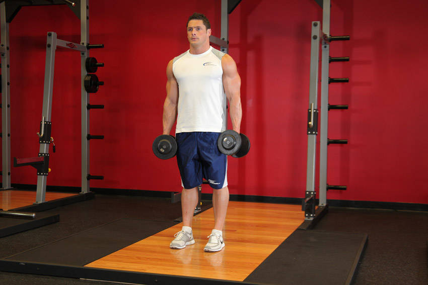 Dumbbell Rear Lunge - starting position