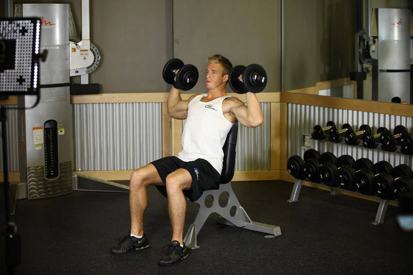 Dumbbell Shoulder Press - starting position