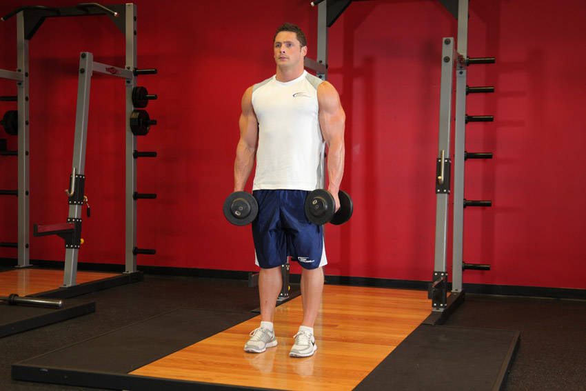Dumbbell Shrug - starting position