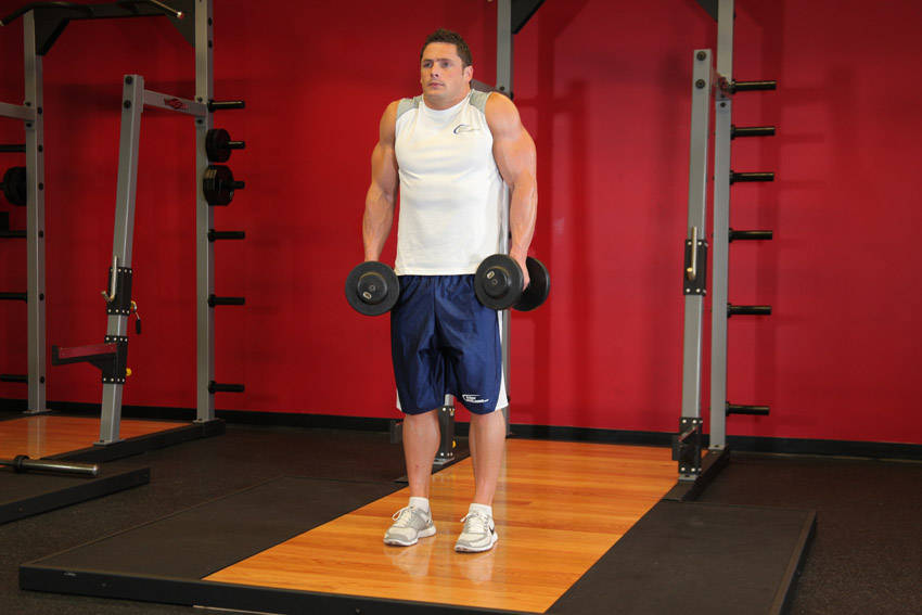 Dumbbell Shrug - ending position