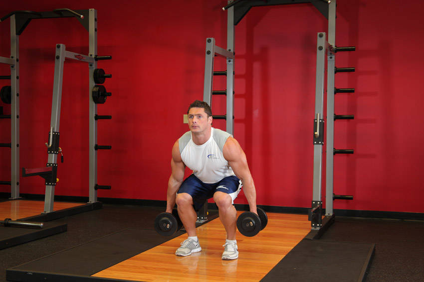 Dumbbell Squat - ending position