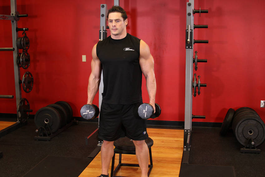 Dumbbell Squat To A Bench - starting position