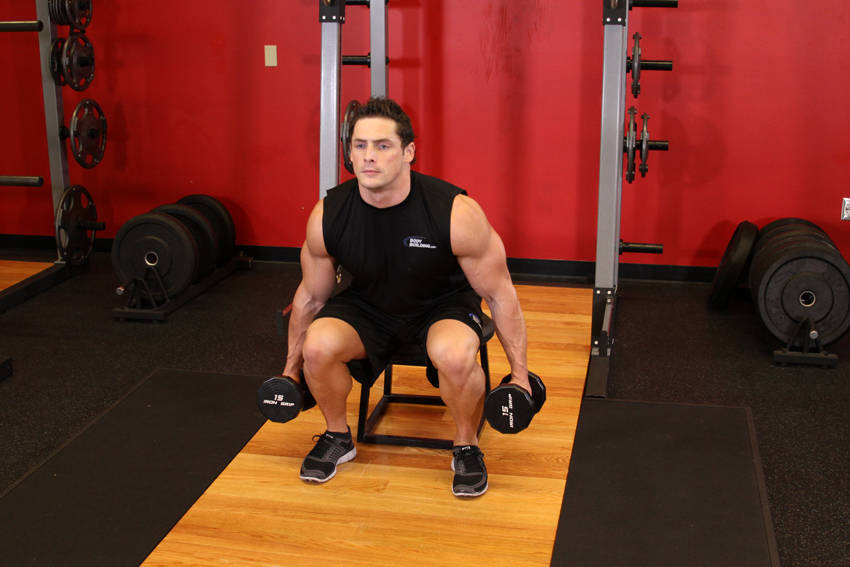 Dumbbell Squat To A Bench - ending position