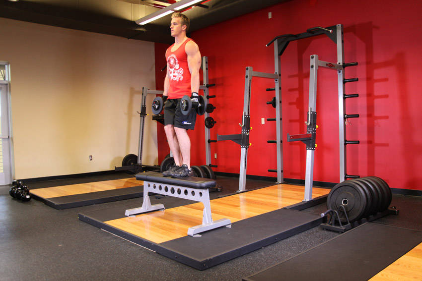Dumbbell Step Ups - starting position