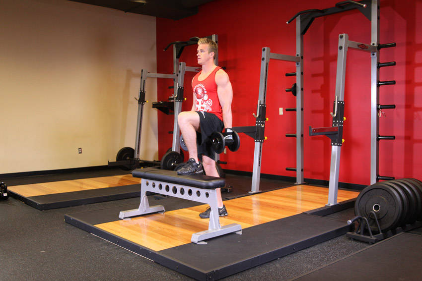 Dumbbell Step Ups - ending position