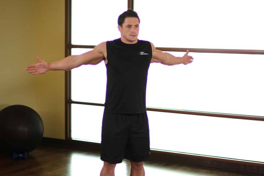 Dynamic Chest Stretch - ending position
