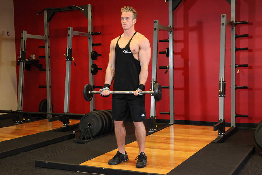 EZ-Bar Curl - starting position