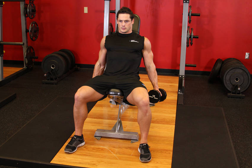 Flexor Incline Dumbbell Curls - starting position