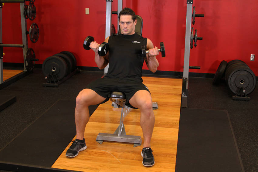 Flexor Incline Dumbbell Curls - ending position