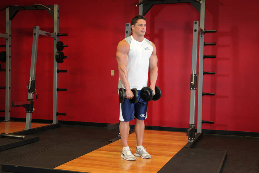 Front Dumbbell Raise - starting position