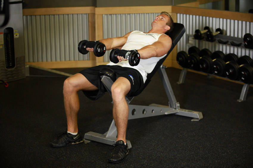 Front Incline Dumbbell Raise - starting position