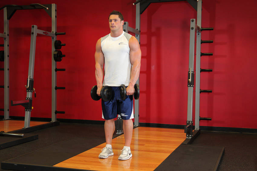 Front Two-Dumbbell Raise - starting position