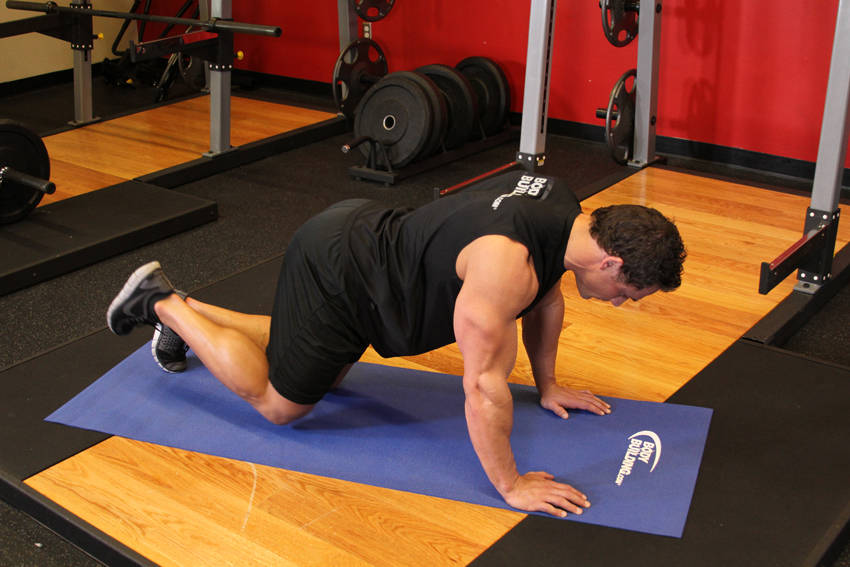 Glute Kickback - starting position