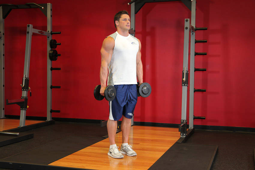 Hammer Curls - starting position
