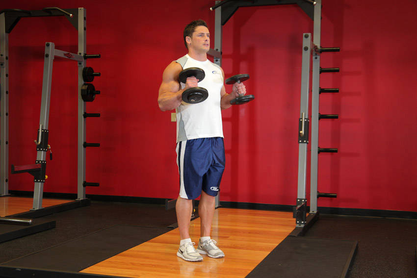 Hammer Curls - ending position