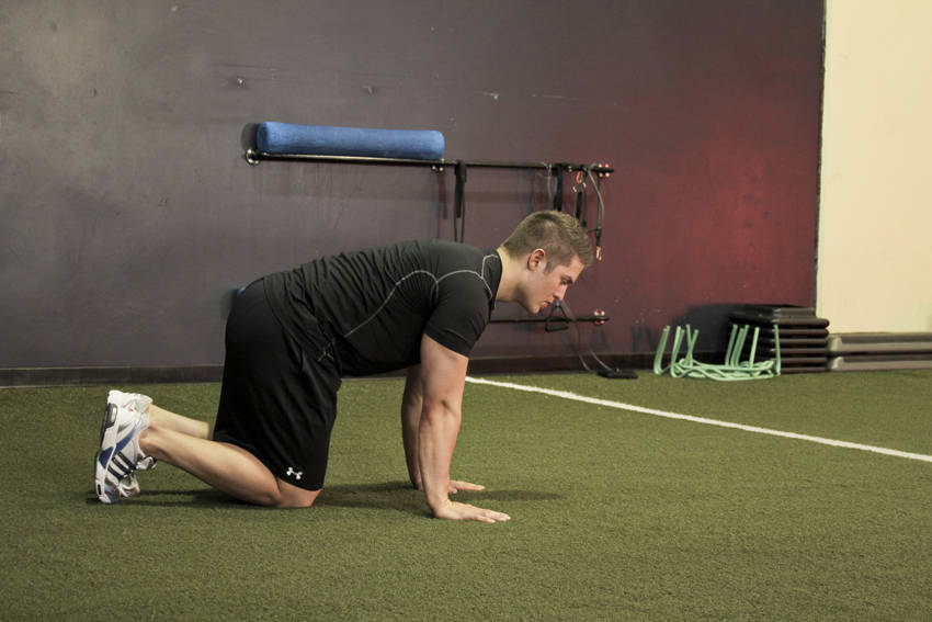 Hip Circles (prone) - starting position